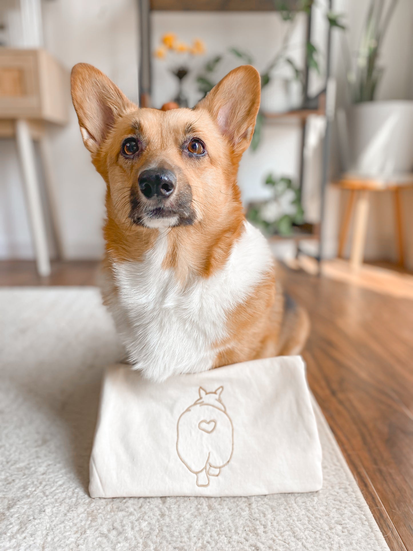 𝐶𝑜𝑟𝑔𝑖 𝐵𝑢𝑡𝑡 𝐸𝑚𝑏𝑟𝑜𝑖𝑑𝑒𝑟𝑒𝑑 𝑇𝑒𝑒