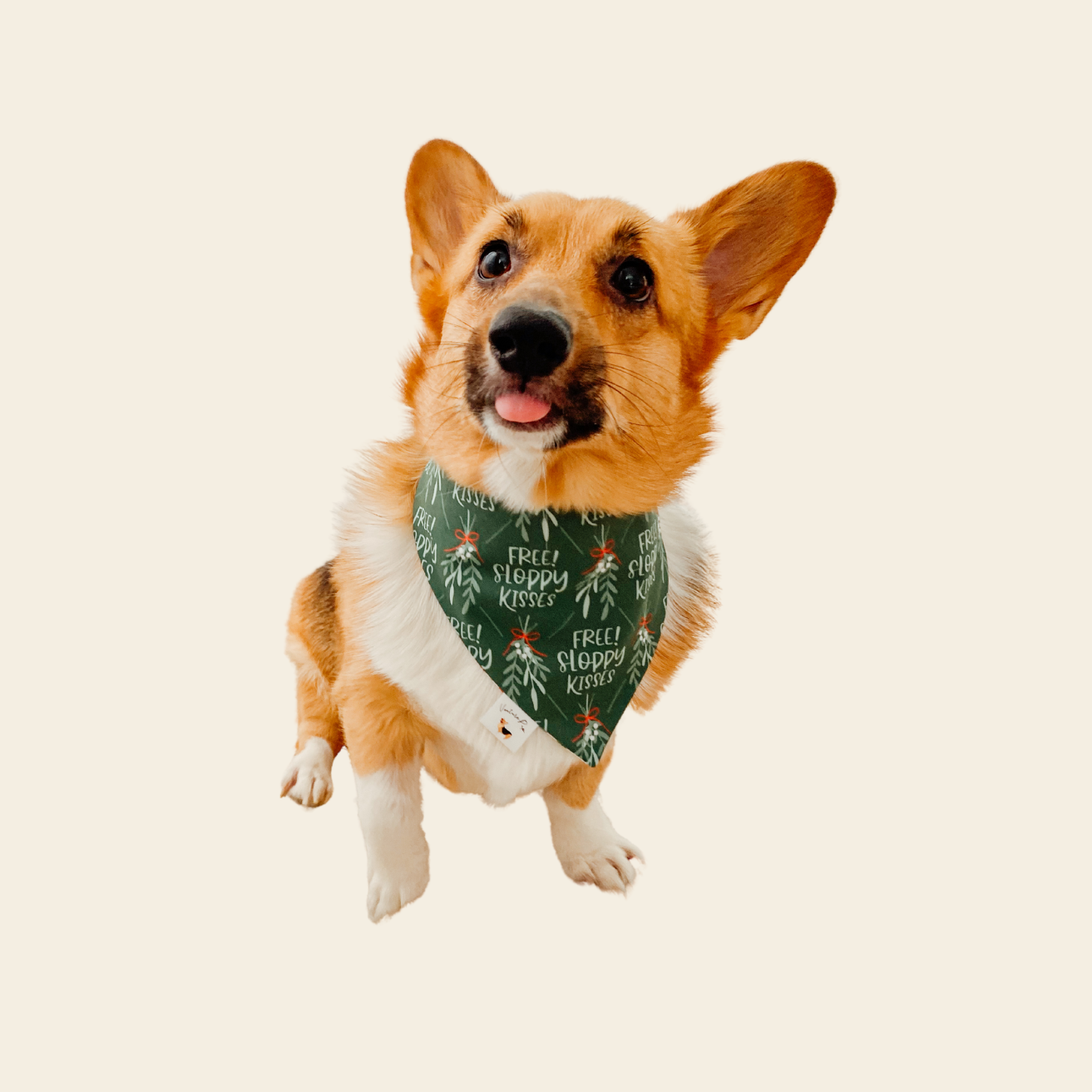 𝐹𝑟𝑒𝑒 𝑆𝑙𝑜𝑝𝑝𝑦 𝐾𝑖𝑠𝑠𝑒𝑠 𝐷𝑜𝑔 𝐵𝑎𝑛𝑑𝑎𝑛𝑎