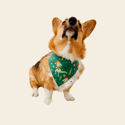 𝐶ℎ𝑟𝑖𝑠𝑡𝑚𝑎𝑠 𝐷𝑖𝑛𝑜 𝐷𝑜𝑔 𝐵𝑎𝑛𝑑𝑎𝑛𝑎