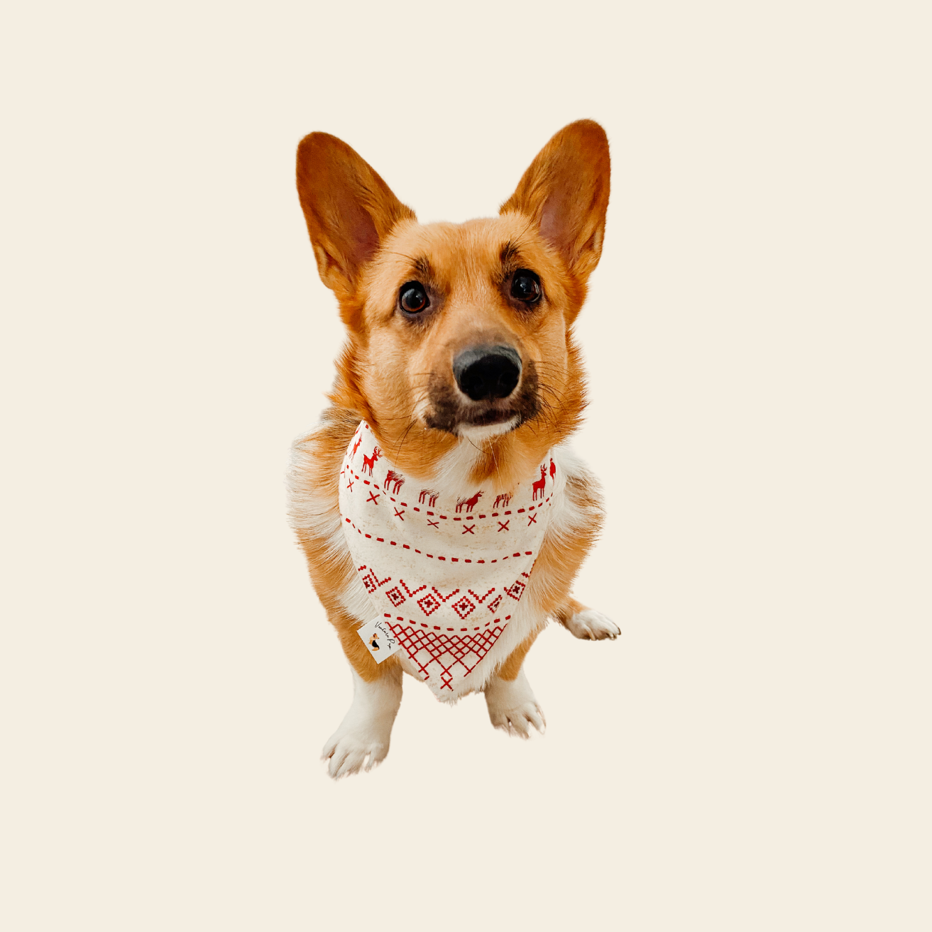 𝐻𝑜𝑙𝑖𝑑𝑎𝑦 𝑆𝑤𝑒𝑎𝑡𝑒𝑟 𝐹𝑙𝑎𝑛𝑛𝑒𝑙 𝐷𝑜𝑔 𝐵𝑎𝑛𝑑𝑎𝑛𝑎