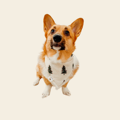 𝑇𝑟𝑒𝑒 𝐹𝑎𝑟𝑚 𝐹𝑙𝑎𝑛𝑛𝑒𝑙 𝐷𝑜𝑔 𝐵𝑎𝑛𝑑𝑎𝑛𝑎