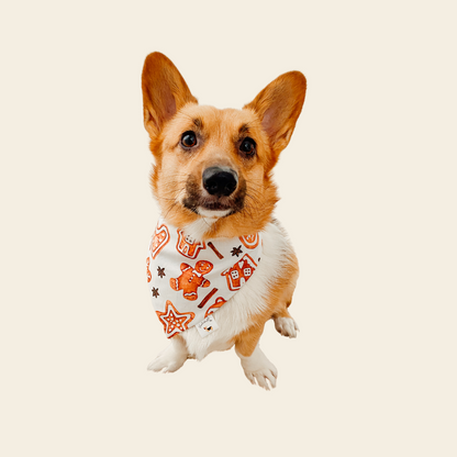 𝐺𝑖𝑛𝑔𝑒𝑟𝑏𝑟𝑒𝑎𝑑 𝑃𝑙𝑎𝑖𝑑 𝐷𝑜𝑔 𝐵𝑎𝑛𝑑𝑎𝑛𝑎