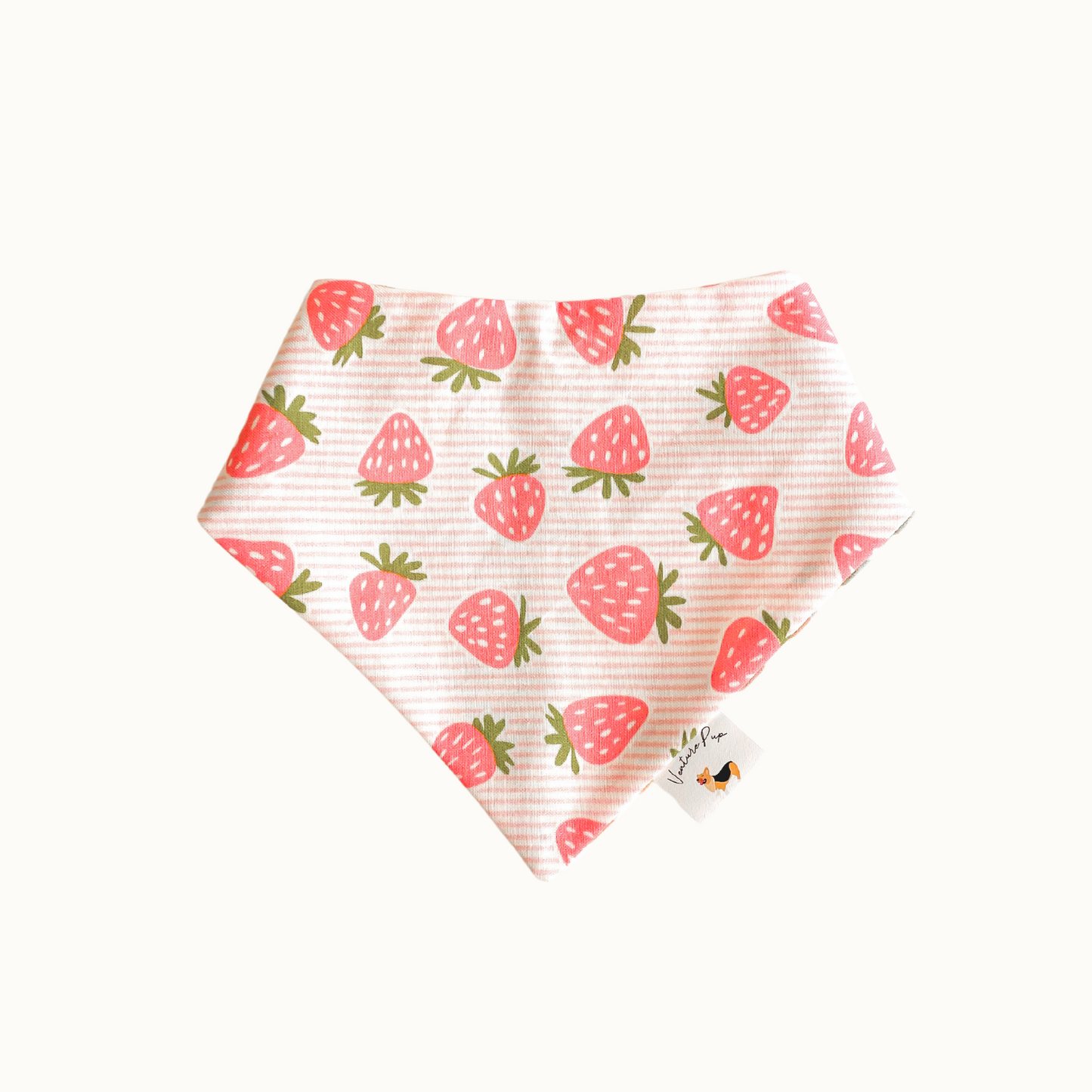 𝑃𝑙𝑎𝑖𝑑 𝑆𝑡𝑟𝑎𝑤𝑏𝑒𝑟𝑟𝑖𝑒𝑠 𝐷𝑜𝑔 𝐵𝑎𝑛𝑑𝑎𝑛𝑎