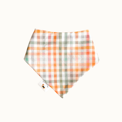 𝑃𝑙𝑎𝑖𝑑 𝑆𝑡𝑟𝑎𝑤𝑏𝑒𝑟𝑟𝑖𝑒𝑠 𝐷𝑜𝑔 𝐵𝑎𝑛𝑑𝑎𝑛𝑎