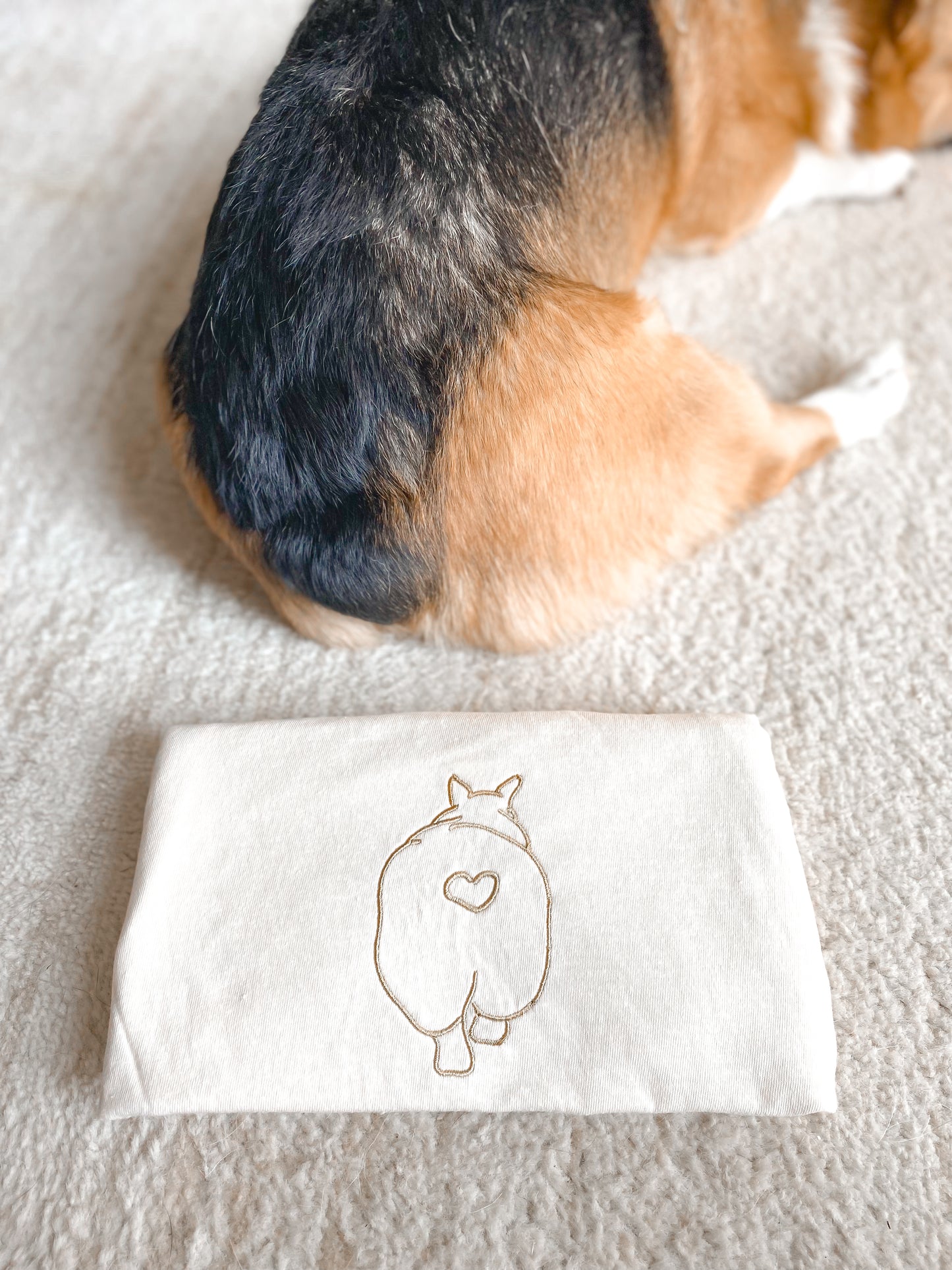 𝐶𝑜𝑟𝑔𝑖 𝐵𝑢𝑡𝑡 𝐸𝑚𝑏𝑟𝑜𝑖𝑑𝑒𝑟𝑒𝑑 𝑇𝑒𝑒