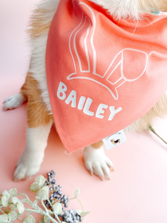 ๐ถ๐ข๐ก๐๐ ๐ต๐ข๐๐๐ฆ ๐ธ๐๐๐  ๐ท๐๐ ๐ต๐๐๐๐๐๐