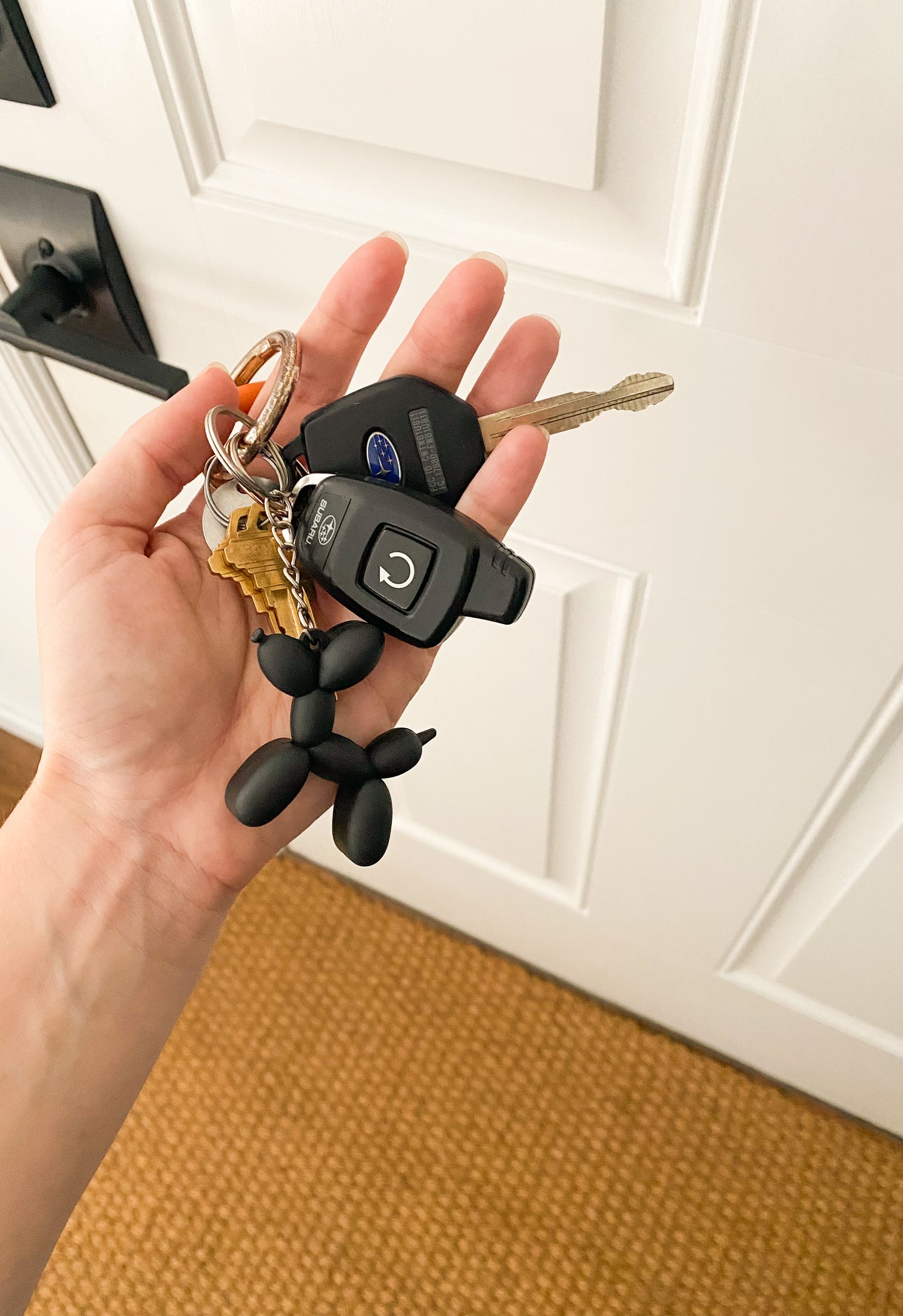 𝐷𝑜𝑔 𝐵𝑎𝑙𝑙𝑜𝑜𝑛 𝐾𝑒𝑦𝑐ℎ𝑎𝑖𝑛