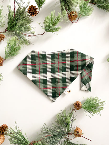 𝐺𝑟𝑒𝑒𝑛 𝑃𝑙𝑎𝑖𝑑 𝐹𝑙𝑎𝑛𝑛𝑒𝑙 𝐷𝑜𝑔 𝐵𝑎𝑛𝑑𝑎𝑛𝑎