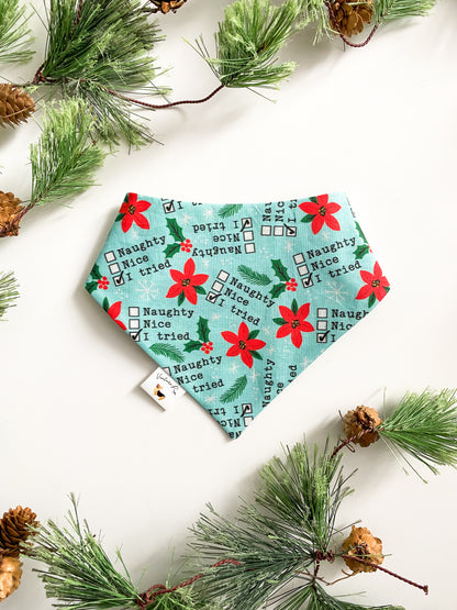 𝐶ℎ𝑟𝑖𝑠𝑡𝑚𝑎𝑠 𝐷𝑖𝑛𝑜 𝐷𝑜𝑔 𝐵𝑎𝑛𝑑𝑎𝑛𝑎