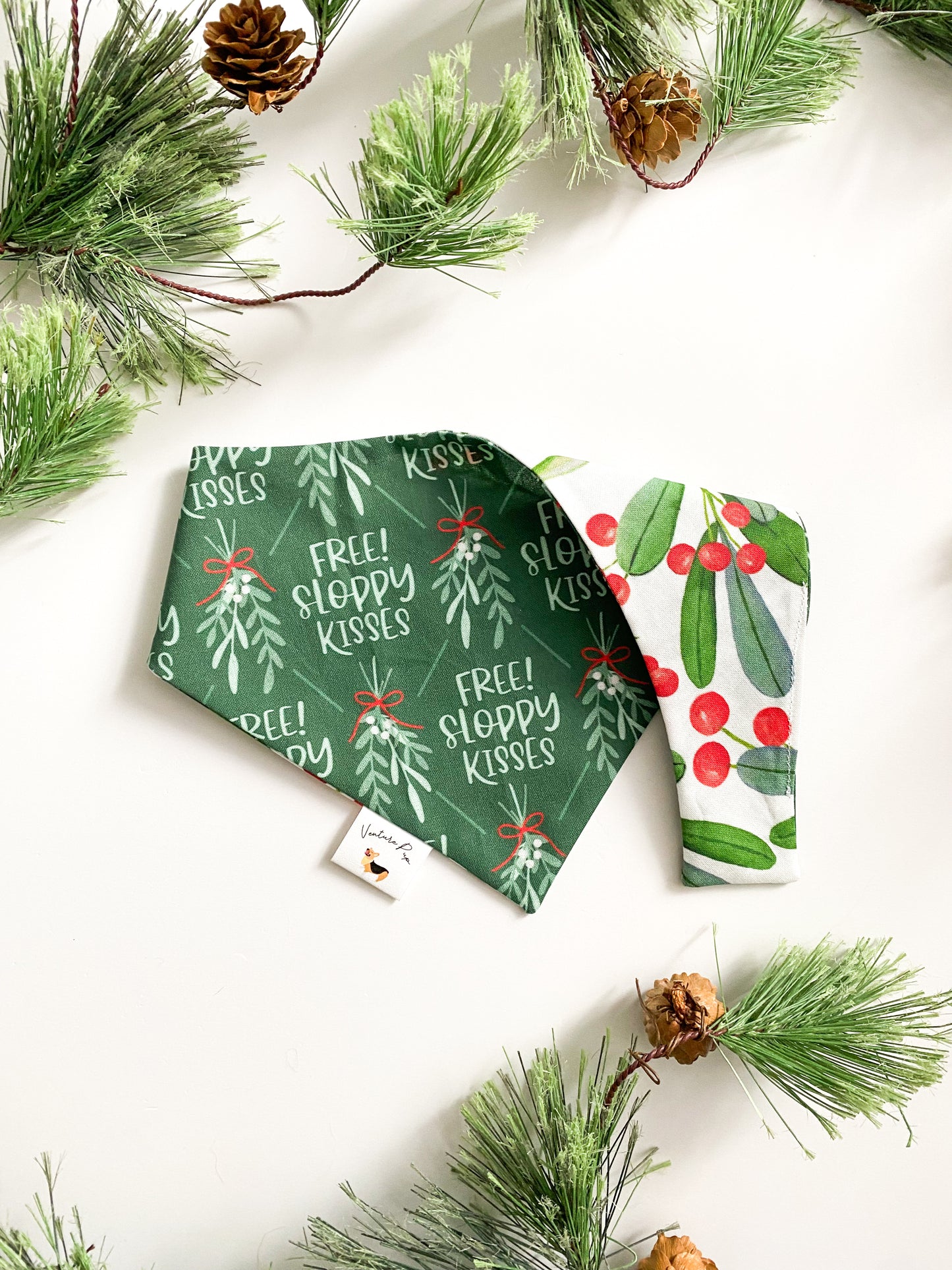 𝐹𝑟𝑒𝑒 𝑆𝑙𝑜𝑝𝑝𝑦 𝐾𝑖𝑠𝑠𝑒𝑠 𝐷𝑜𝑔 𝐵𝑎𝑛𝑑𝑎𝑛𝑎